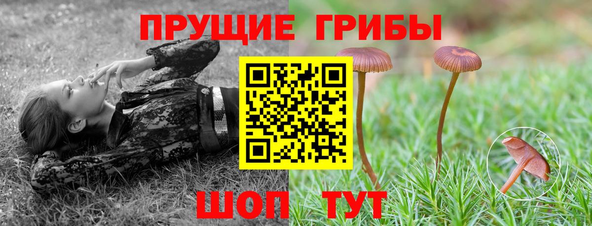 Галлюциногенные грибы ЛСД Тамбов